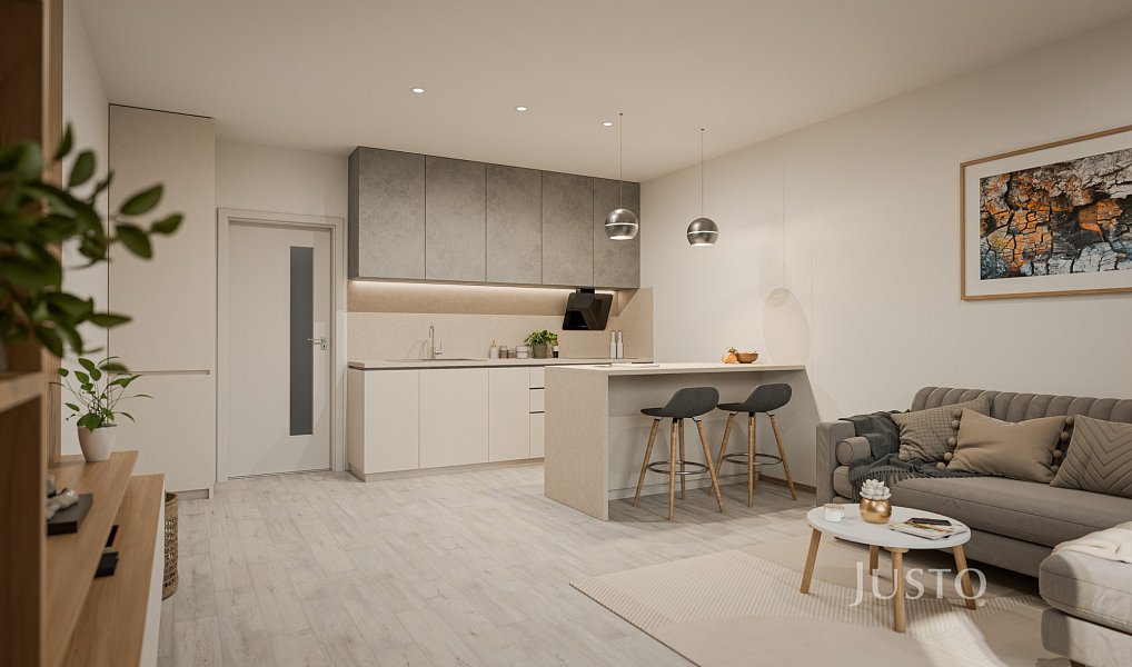 Prodej bytu 1+kk 40 m², České Budějovice – náhled fotky 4