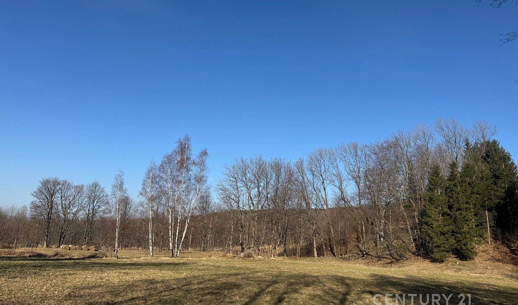 Prodej louky 3 194 m², Bílý Potok – náhled fotky 5