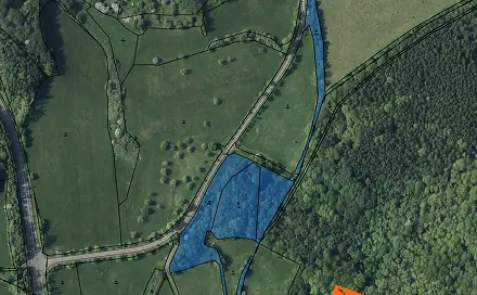 Prodej lesa 7 092 m², Žim, okres Teplice