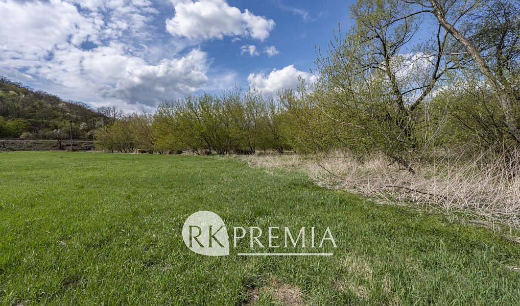 Prodej zahrady 4 353 m², Bžany – náhled fotky 12