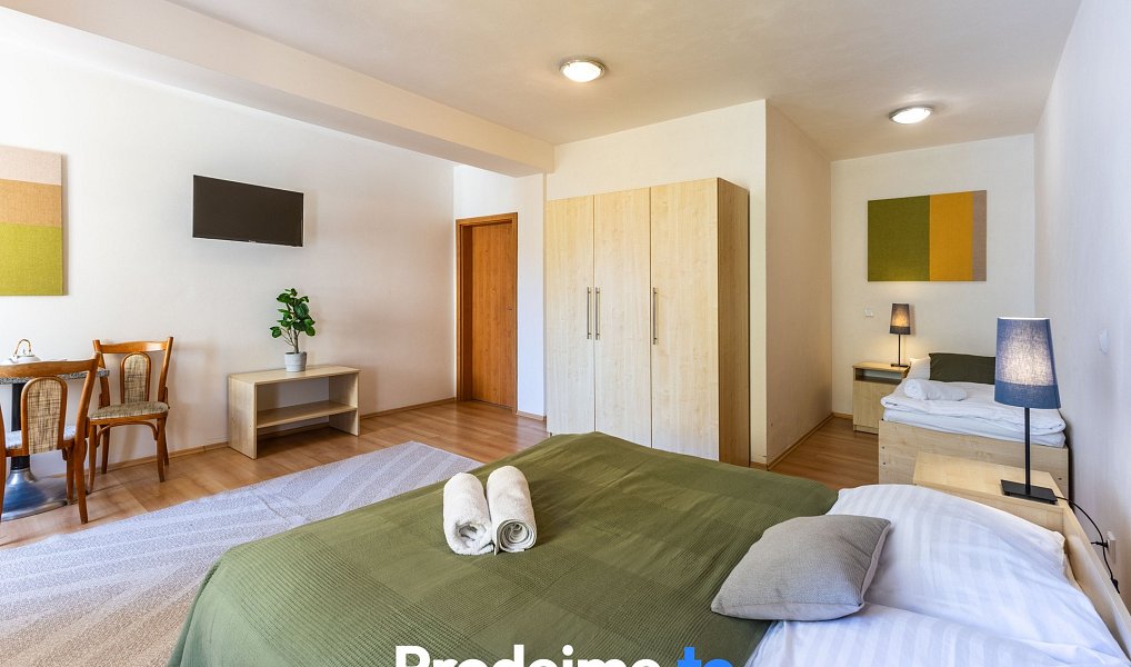 Prodej ubytovacího objektu 1 593 m², Znojmo – náhled fotky 17