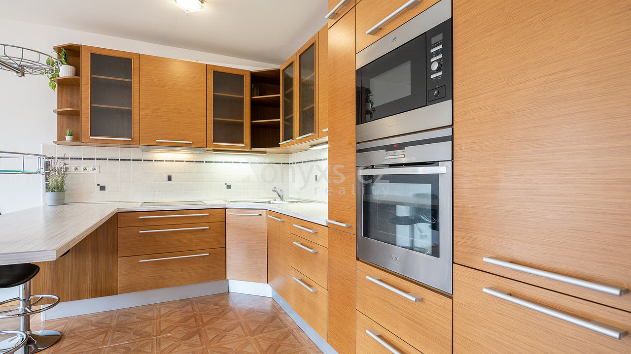 Pronájem bytu 1+kk 45 m² – pohled 4