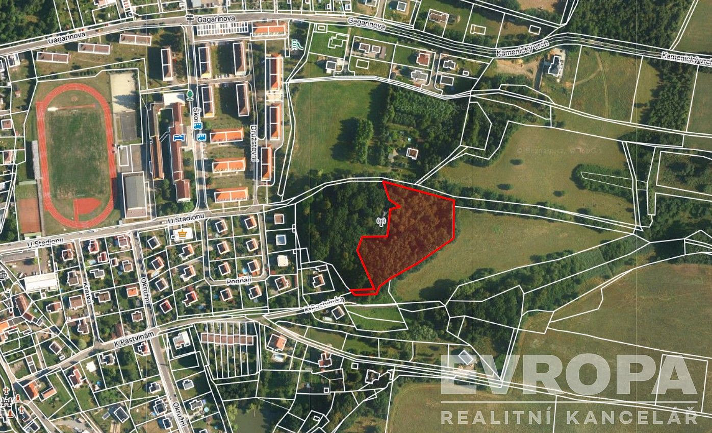 Prodej lesa 8 140 m²
