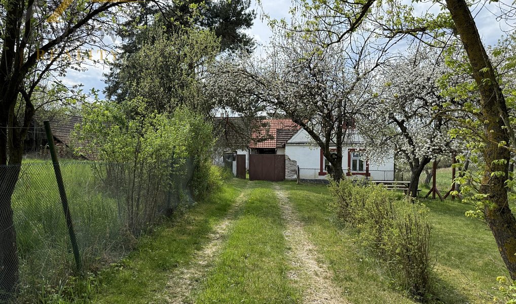 Prodej chaty/chalupy 108 m² s pozemkem 1 406 m², Chrášťany – náhled fotky 15