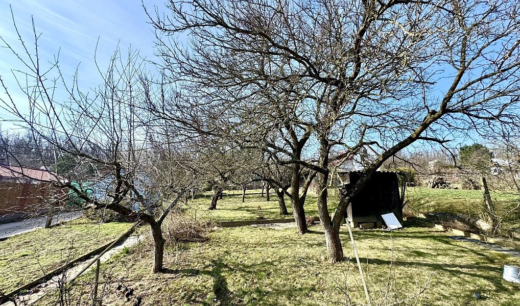 Prodej zahrady 511 m², Dyje – náhled fotky 13