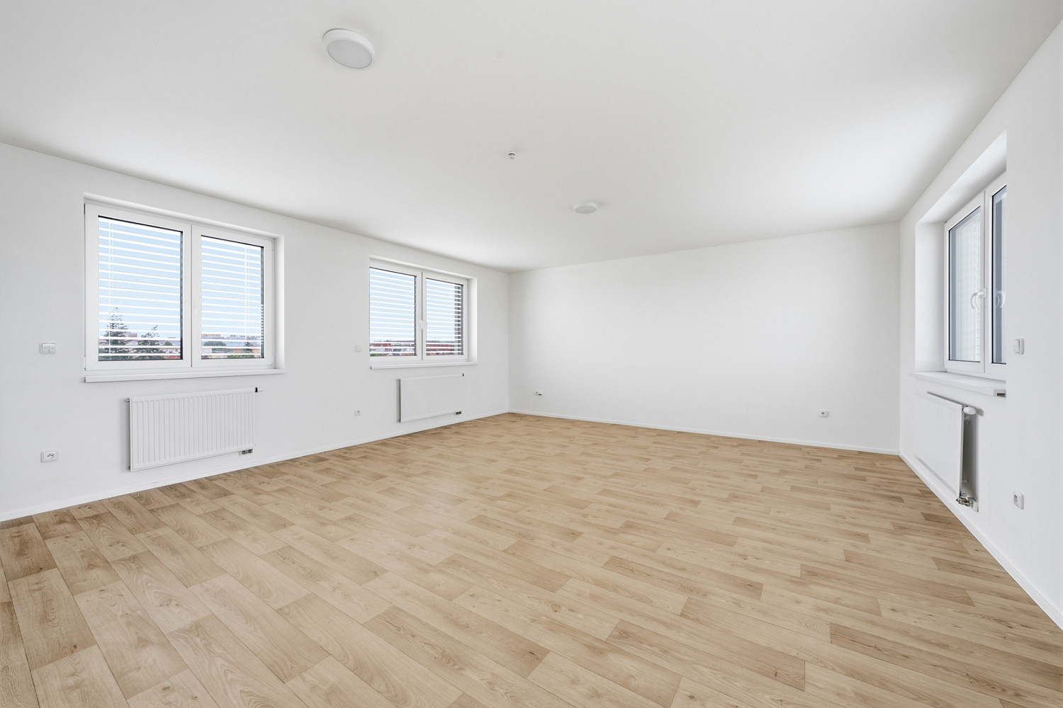 Pronájem bytu 1+1 66 m² – fotografie 4