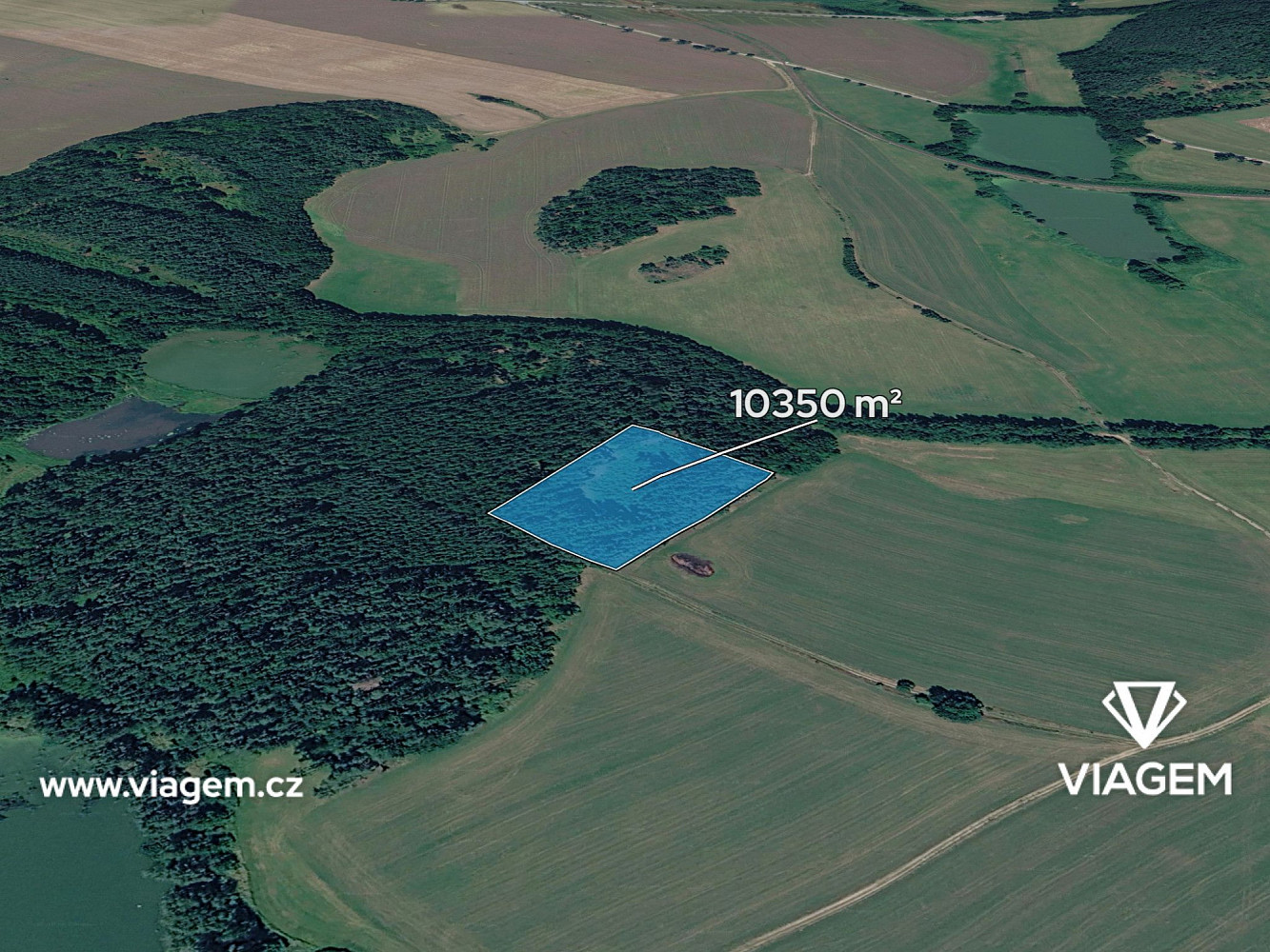 Prodej lesa 1 725 m²