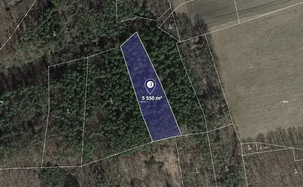 Prodej lesa 1 388 m², Nové Dvory, okres Příbram