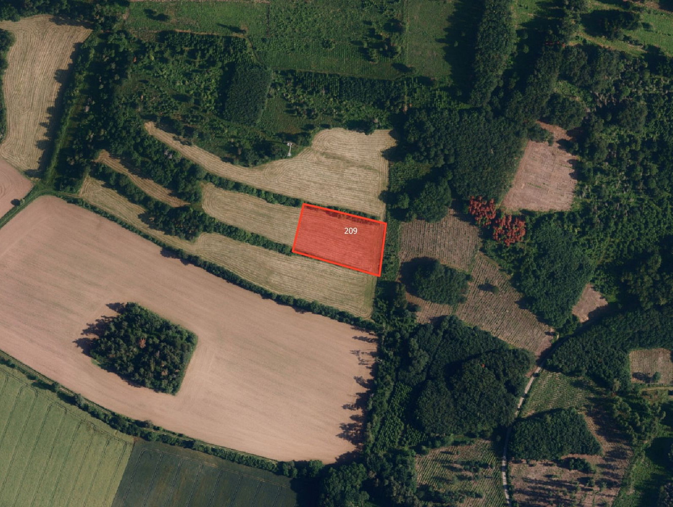 Prodej louky 4 646 m²