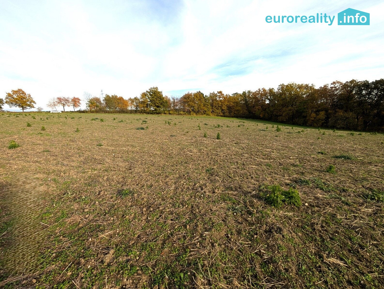 Prodej stavebního pozemku 3 986 m² – fotografie 5