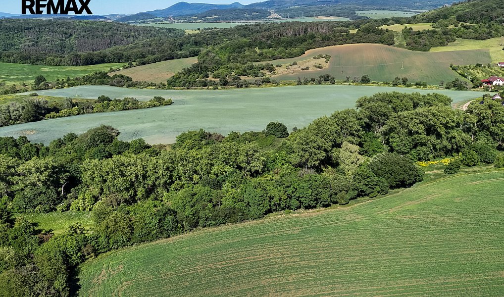 Prodej lesa 5 841 m², Skršín – náhled fotky 17