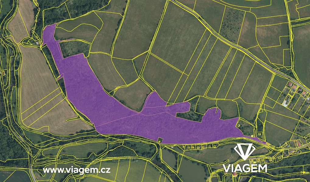Prodej lesa 58 800 m², Ždírec – náhled fotky 4