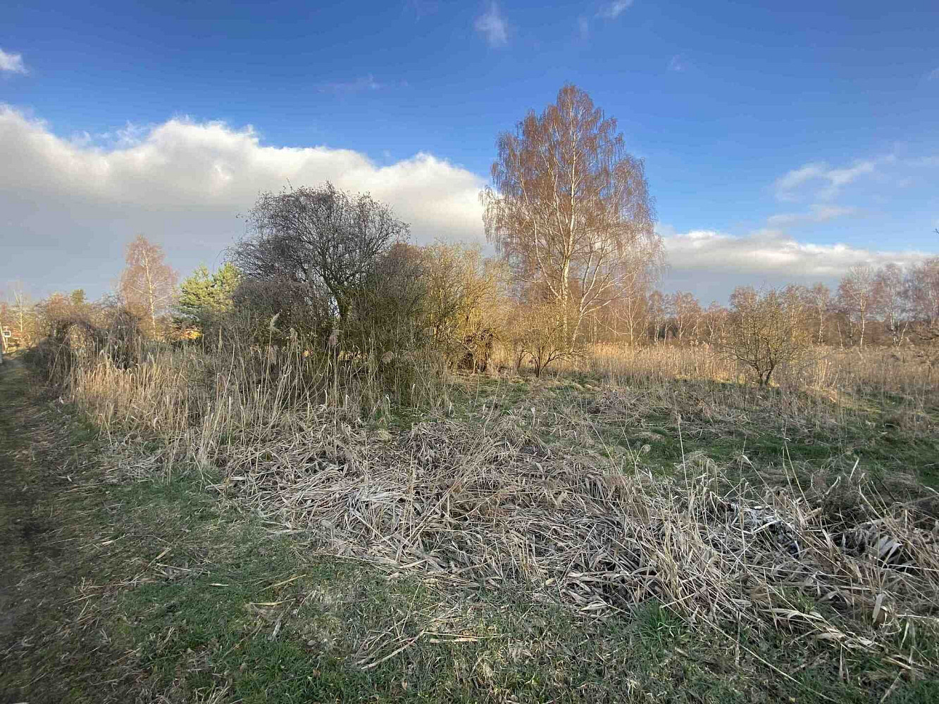 Prodej pole 2 866 m² – pohled 2