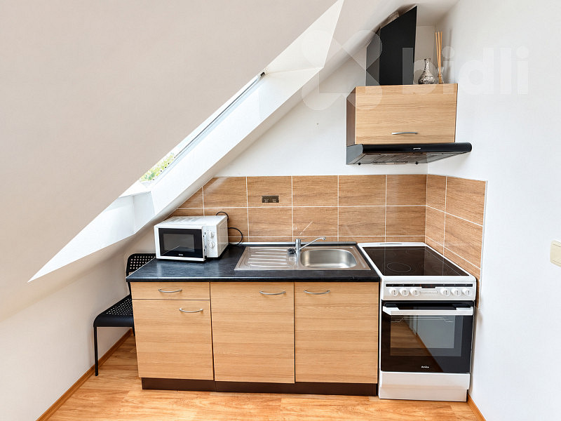 Pronájem bytu 1+1 37 m² – fotografie 5