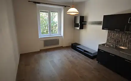 Pronájem bytu 1+1 43 m²