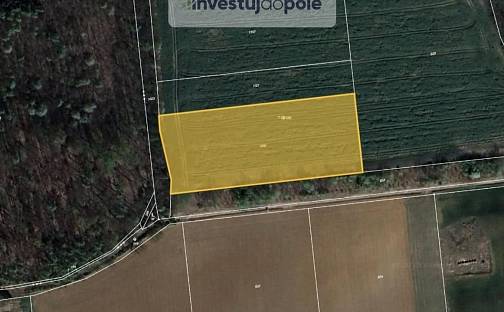 Prodej pole 2 550 m², Chýnice, okres Praha-západ