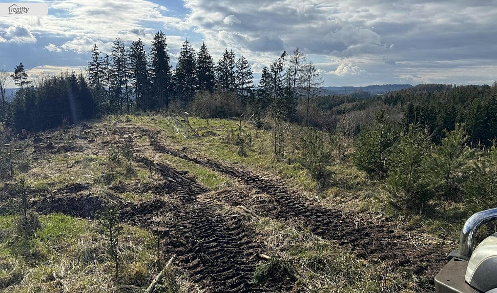 Prodej lesa 35 108 m², Pecka – náhled fotky 18