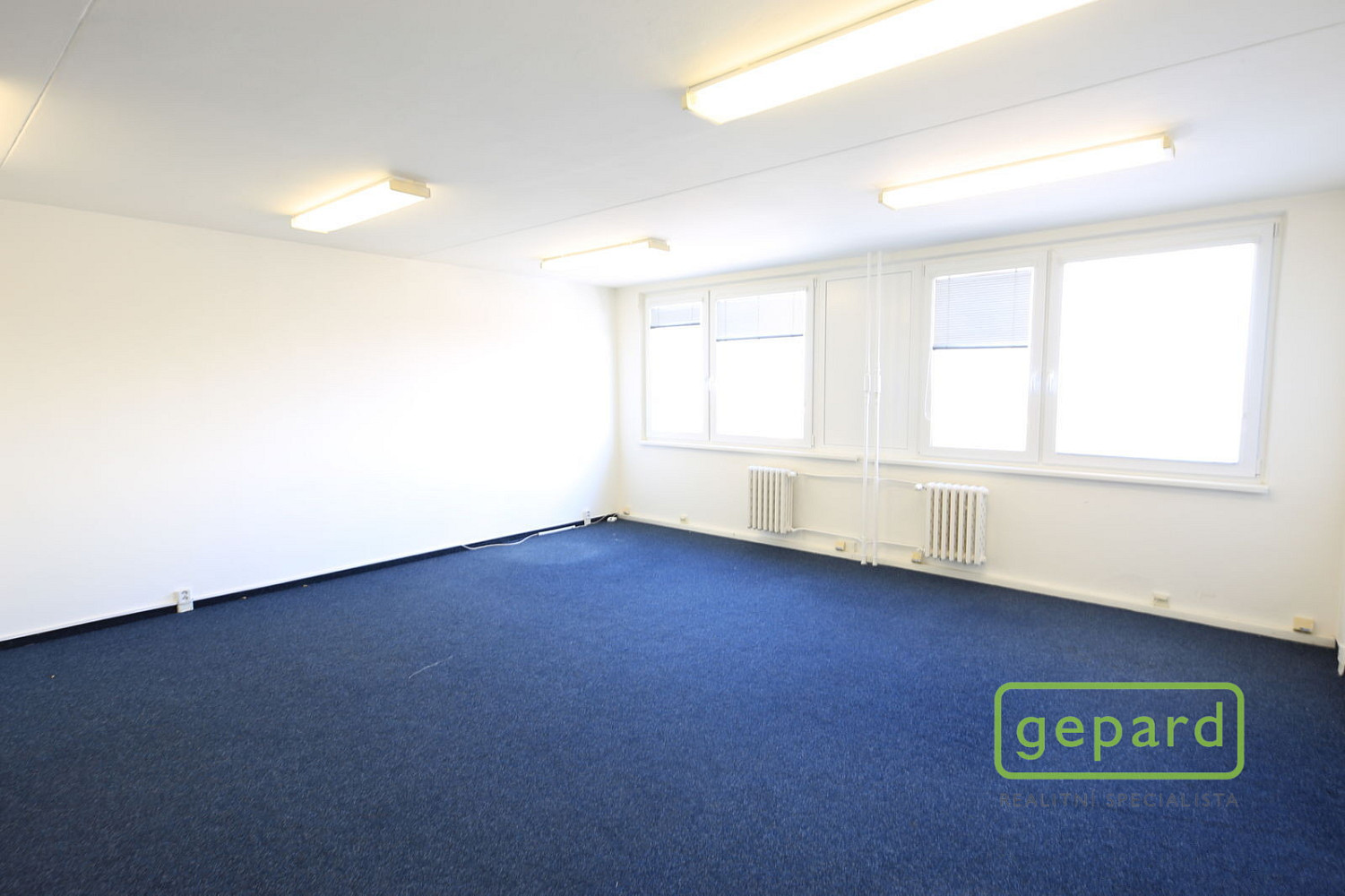 Fotka 3 z 3