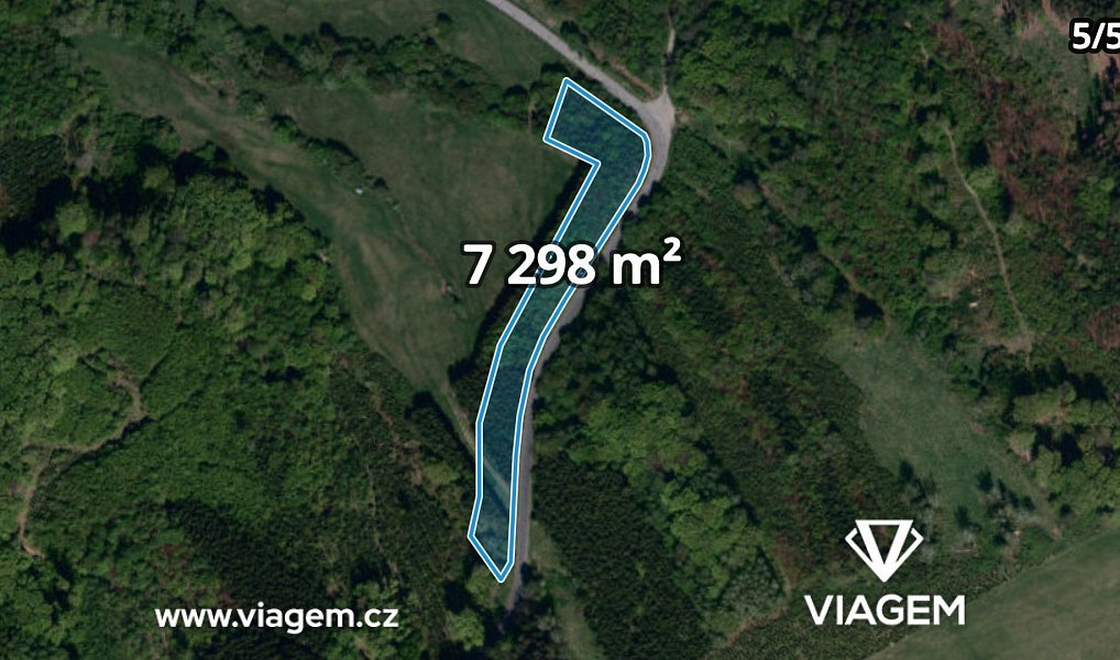 Prodej lesa 3 318 m², Bojkovice – náhled fotky 17