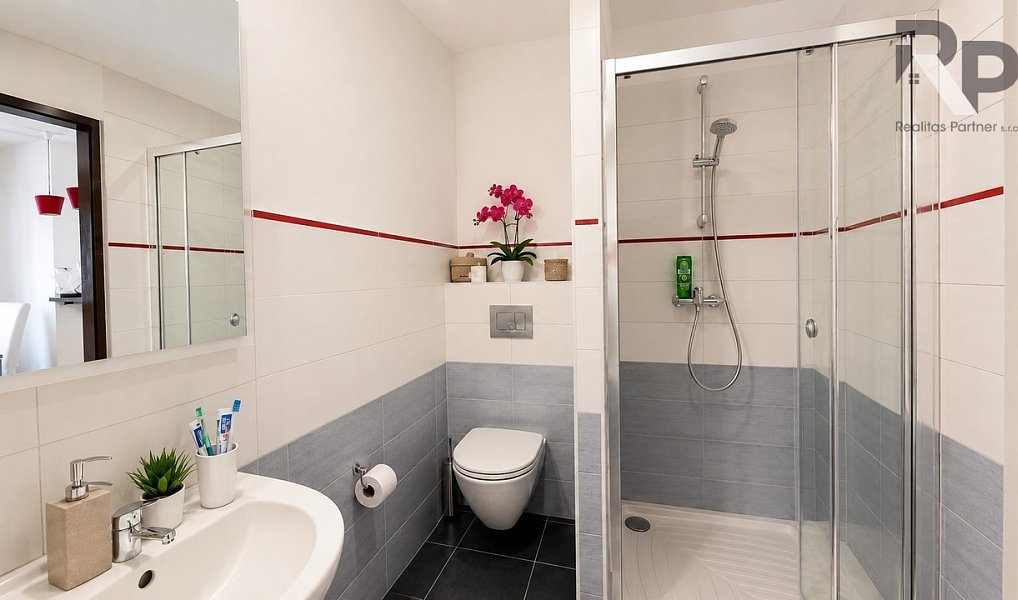 Prodej domu 319 m² s pozemkem 1 006 m², Dobronín – náhled fotky 19