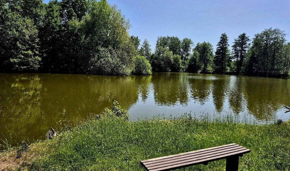 Prodej vodní plochy 8 425 m², Obruby – náhled fotky 2