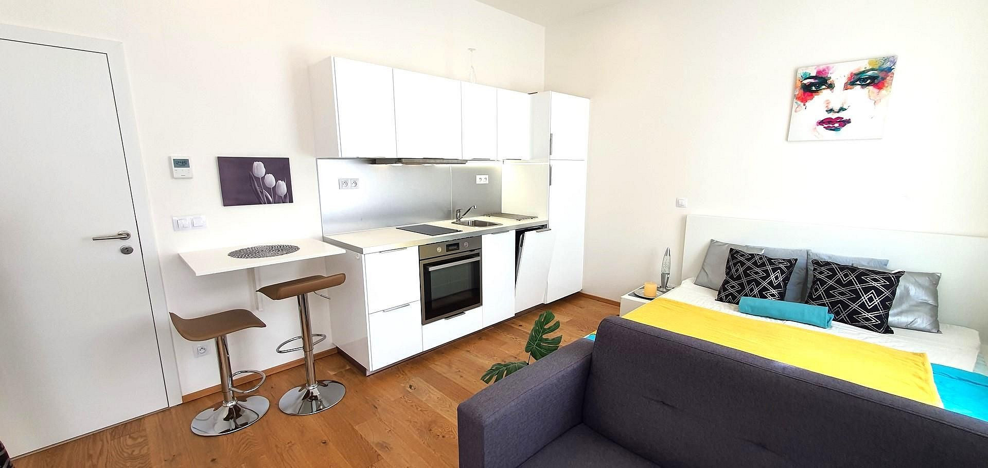 Pronájem bytu 1+kk 28 m²