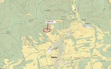 Dražba lesa 200 m², Zděchov