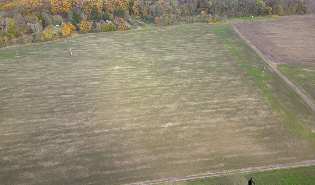 Prodej stavebního pozemku 3 803 m², Přísnotice – náhled fotky 10