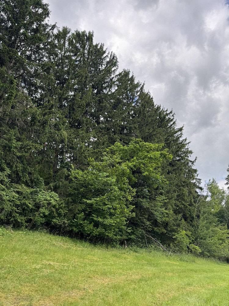Prodej pozemku 19 364 m²