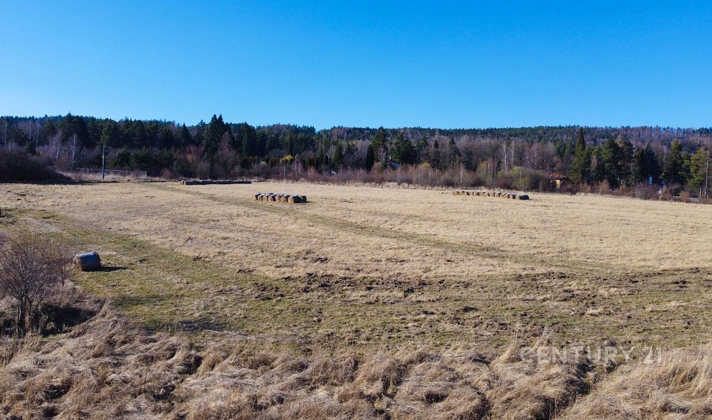Prodej stavebního pozemku 79 028 m², Mníšek pod Brdy – náhled fotky 12
