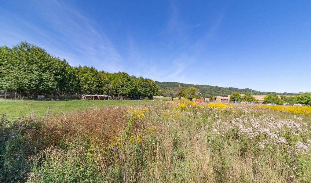 Prodej stavebního pozemku 1 096 m², Sušice – náhled fotky 11