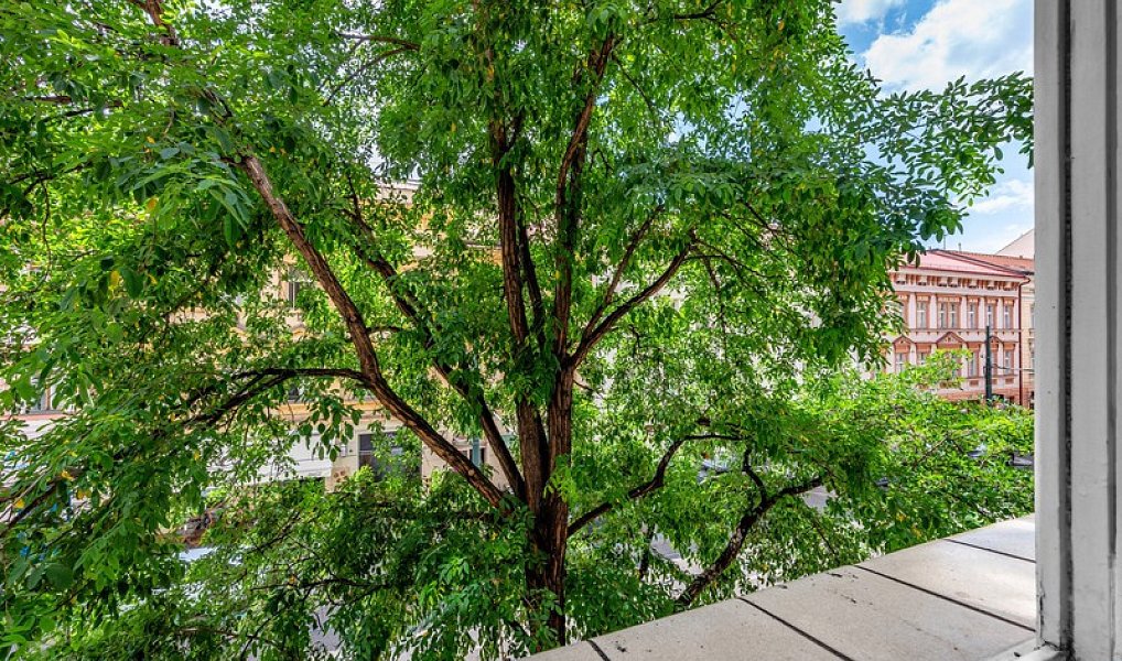Pronájem bytu 2+kk 58 m², Praha – náhled fotky 9