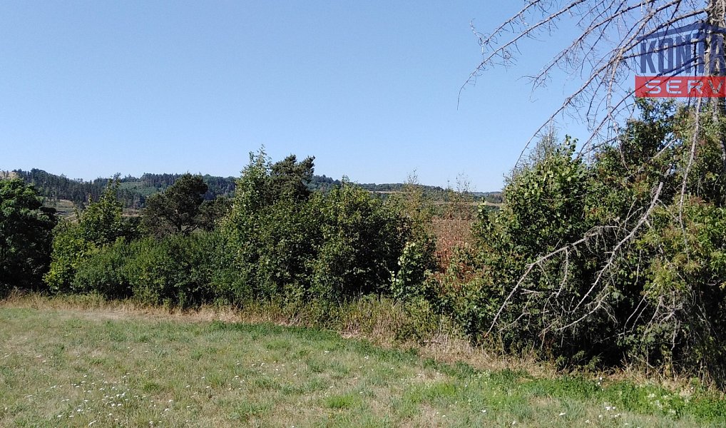 Prodej lesa 9 664 m², Číchov – náhled fotky 6