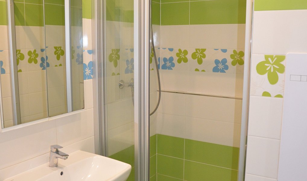 Prodej bytu 1+1 40 m², Liberec – náhled fotky 8