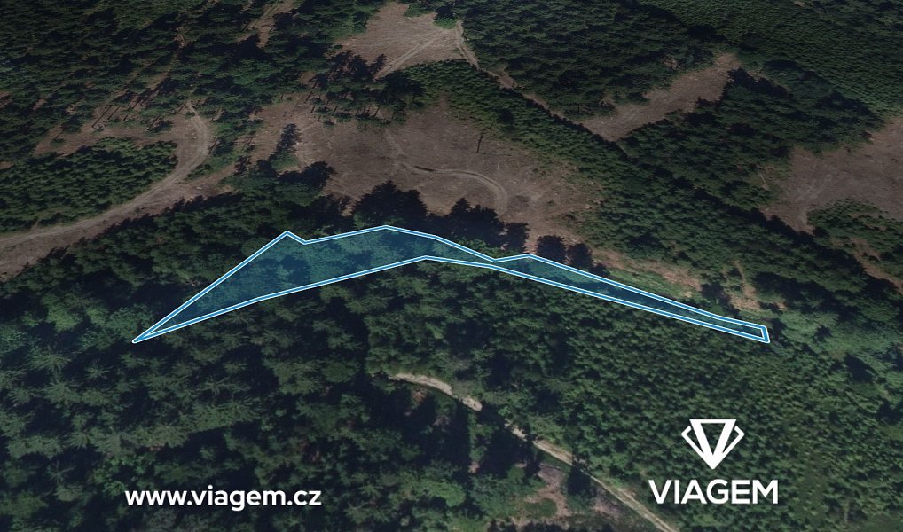 Prodej lesa 932 m², Vysoké nad Jizerou – náhled fotky 2