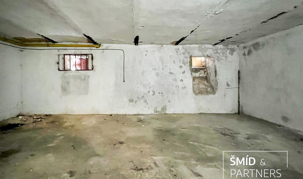 Prodej obchodních prostor 540 m², Zásmuky – náhled fotky 44