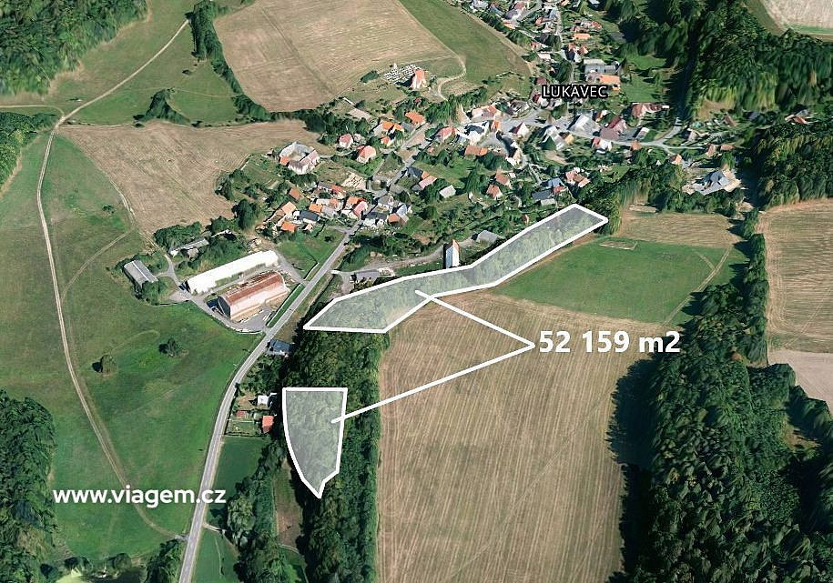 Prodej lesa 7 911 m²