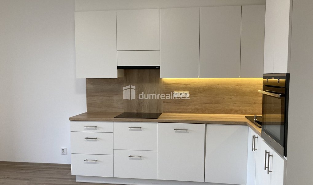Pronájem bytu 2+kk 64 m², Plzeň – náhled fotky 2
