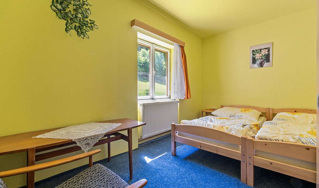 Prodej ubytovacího objektu 400 m², Červená Voda – náhled fotky 7