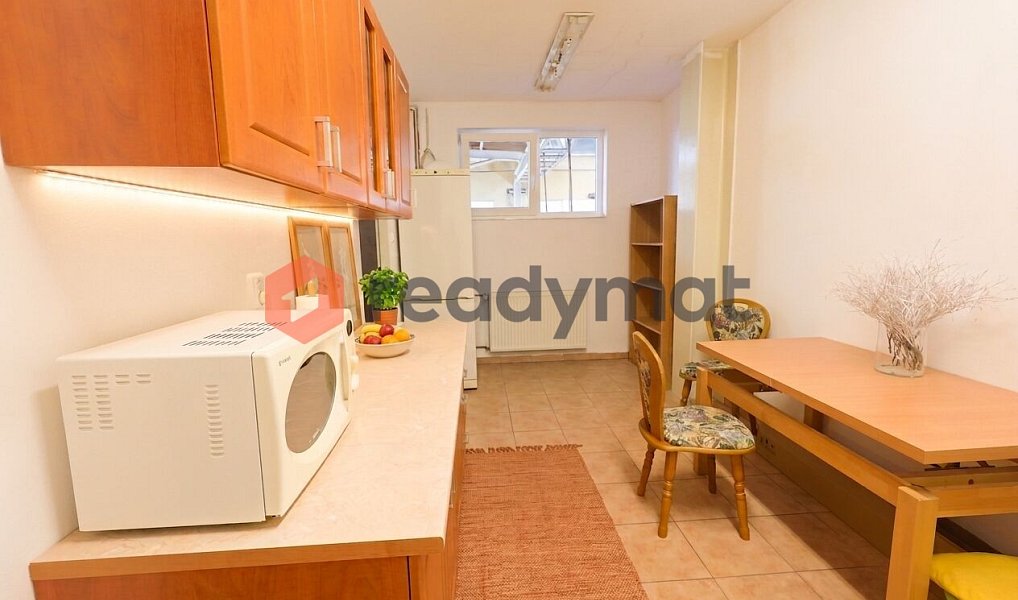 Pronájem obchodních prostor 1 500 m², Bzenec – náhled fotky 10