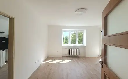 Pronájem bytu 2+1 54 m², Loudova, Praha 3 - Žižkov
