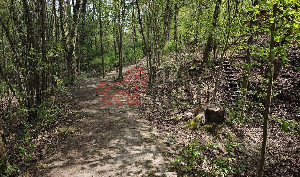 Prodej domu 117 m² s pozemkem 4 460 m², Liběchov – náhled fotky 20