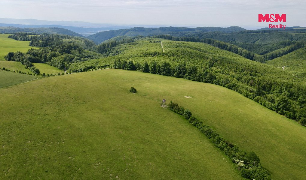 Prodej louky 18 398 m², Hranice – náhled fotky 3