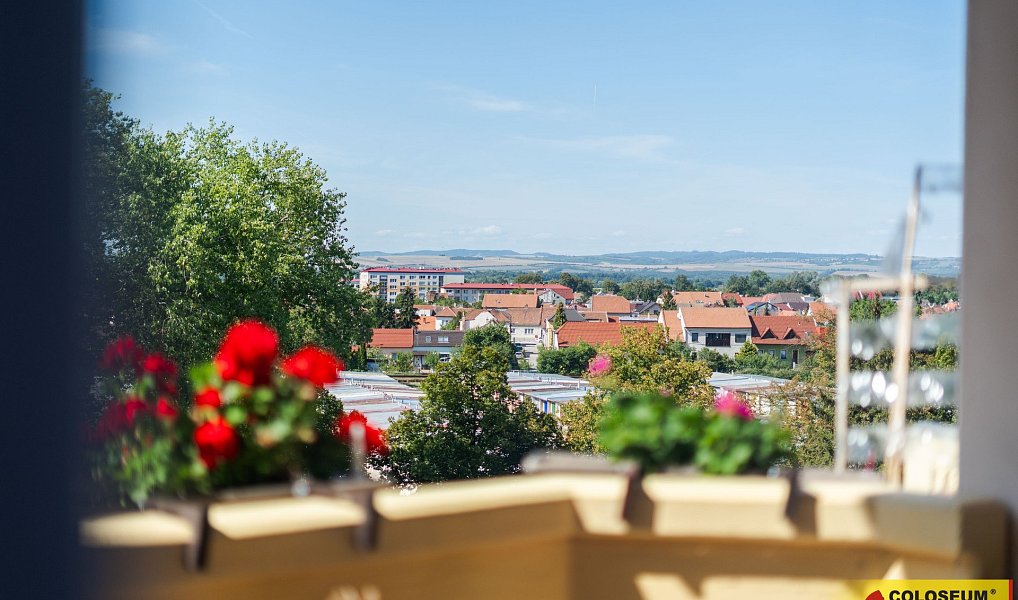 Prodej bytu 3+kk 54 m², Veselí nad Moravou – náhled fotky 27