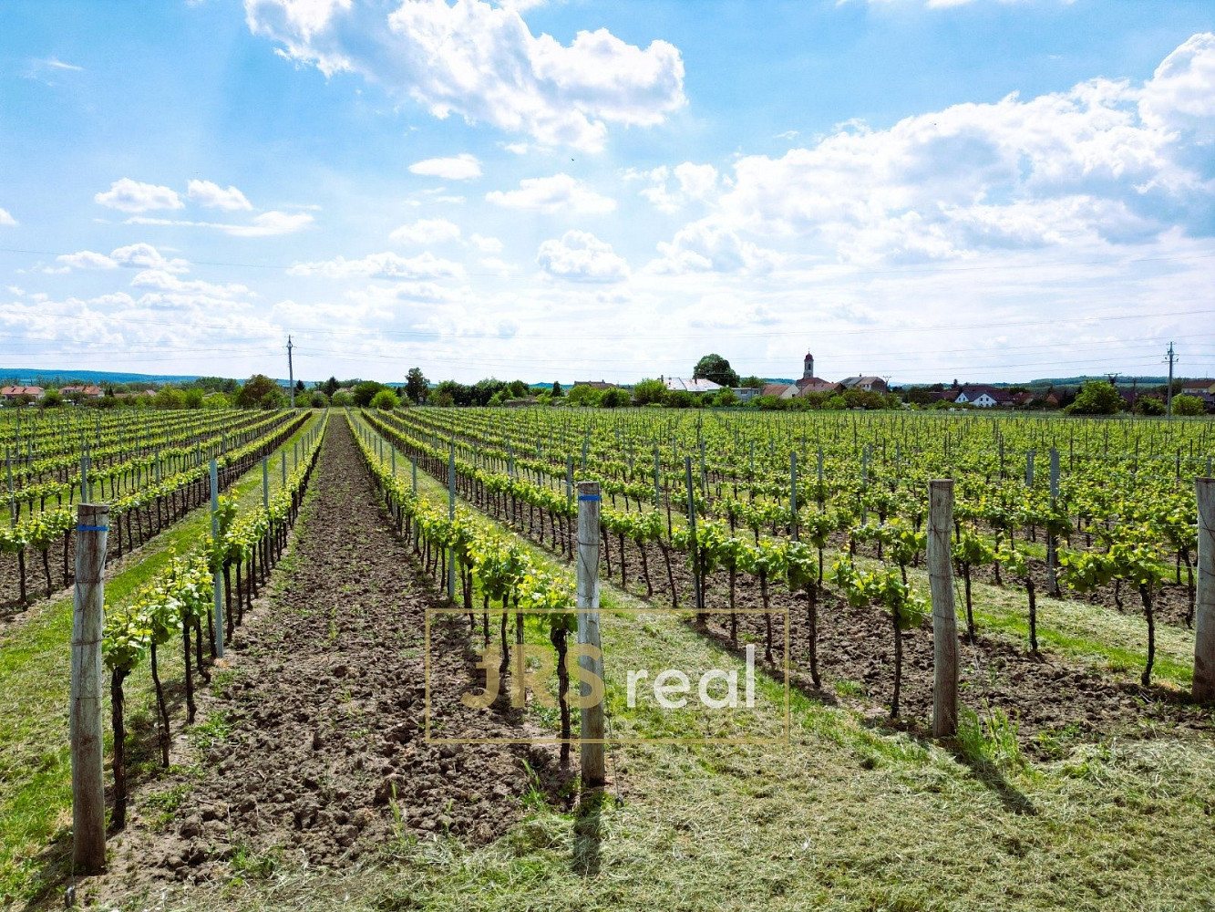 Prodej pole 3 474 m² – fotografie 2