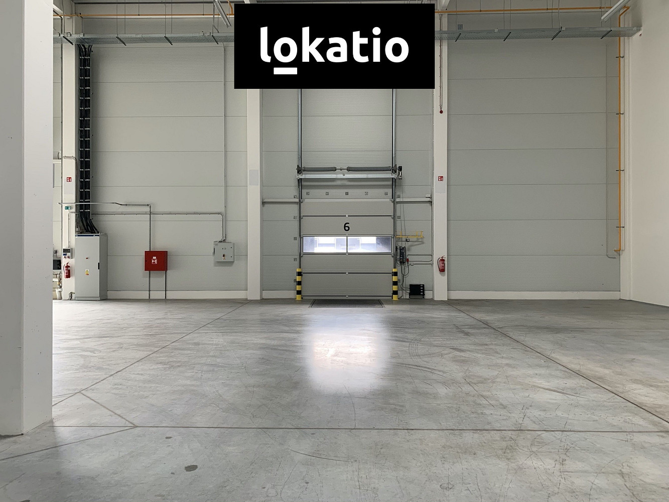 Pronájem skladovacích prostor 4 766 m² — photo 5