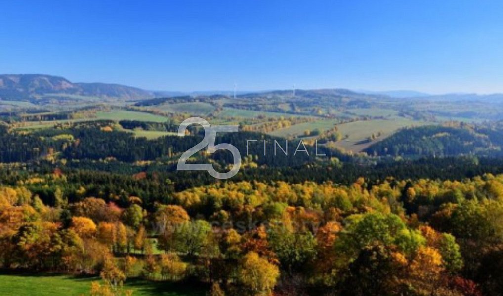 Prodej lesa 34 594 m², Bernartice – náhled fotky 7