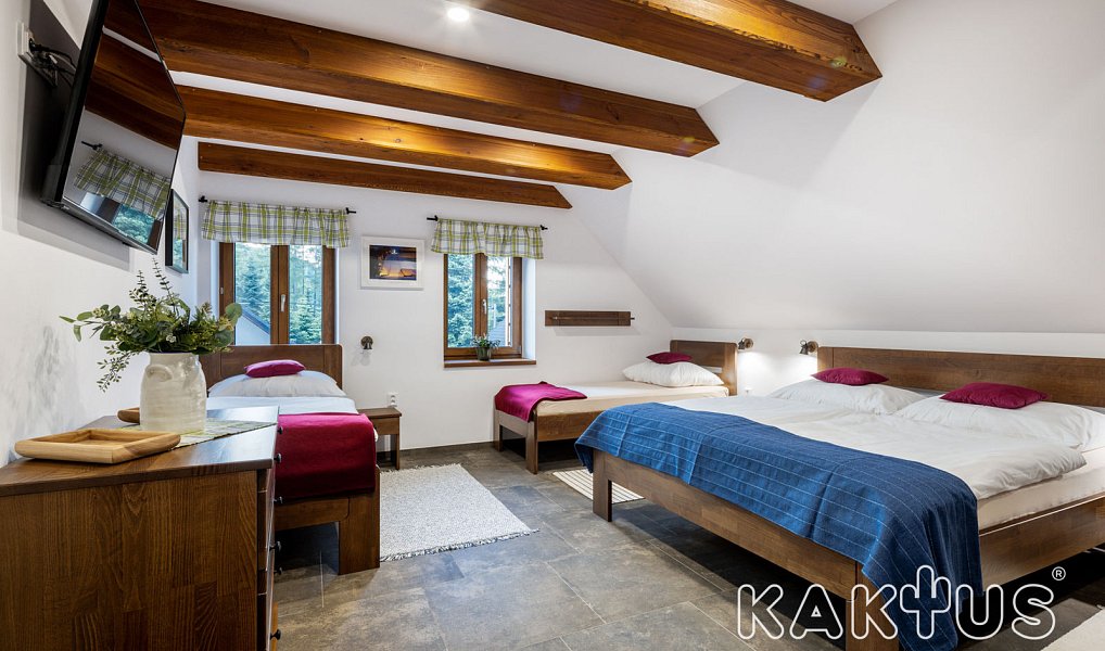 Prodej domu 316 m² s pozemkem 1 706 m², Frenštát pod Radhoštěm – náhled fotky 23
