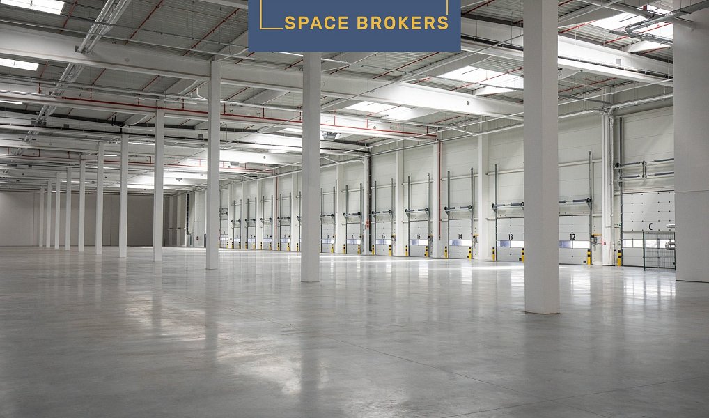 Pronájem skladovacích prostor 69 000 m², Velké Albrechtice – náhled fotky 5