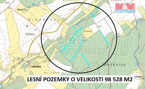 Prodej lesa 98 528 m², Moraveč, okres Pelhřimov